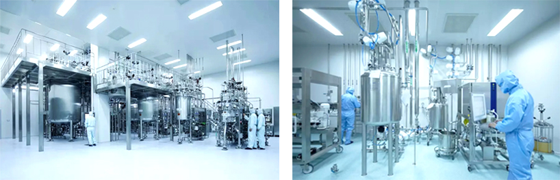 Biological Cleanroom Partition Wall Systems